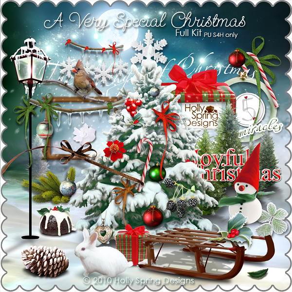 A Very Special Chrismas