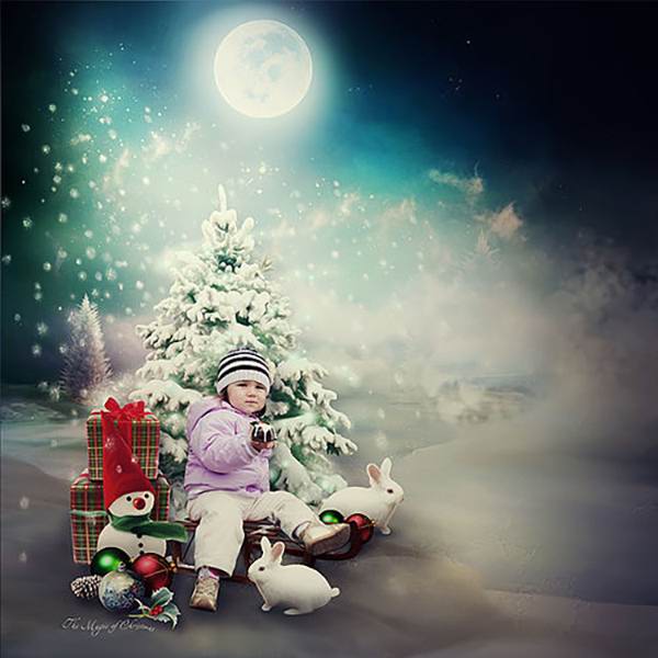 A Very Special Christmas