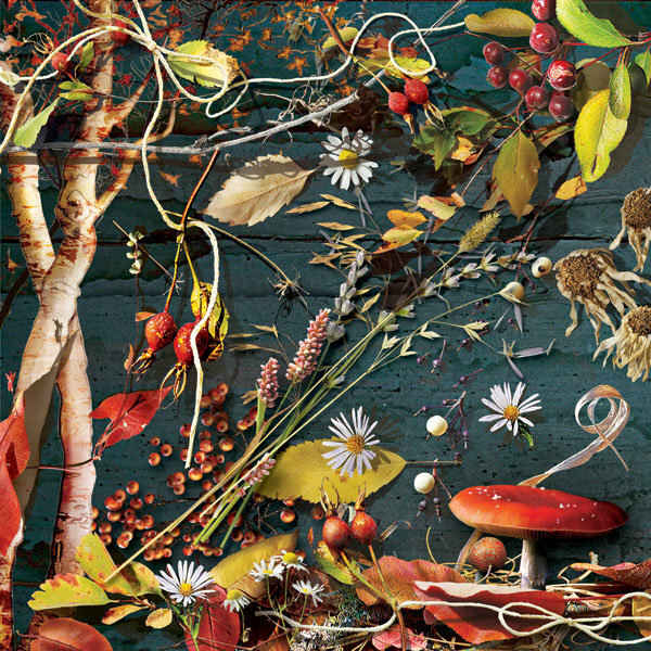 Flitting Fall Fairies