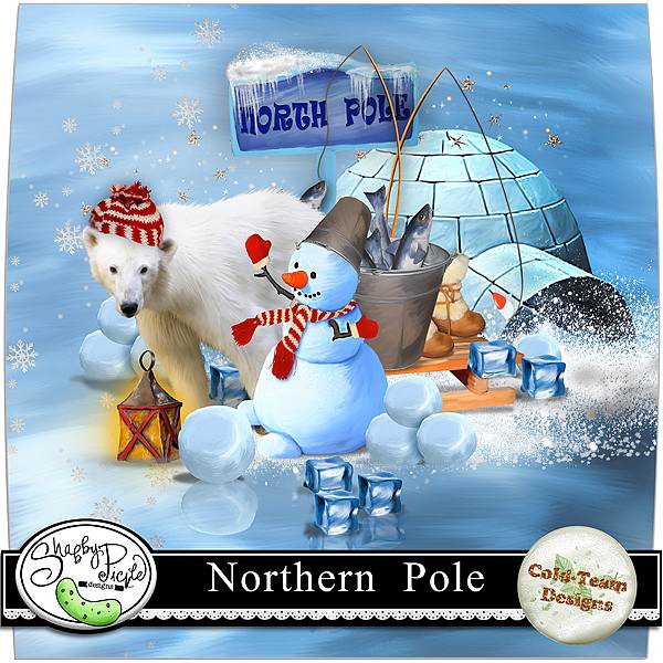 Northern Pole