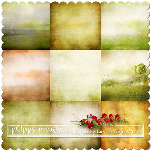 Poppy Meadow