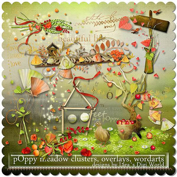Poppy Meadow