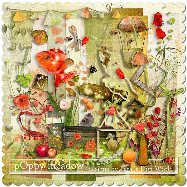 Poppy Meadow