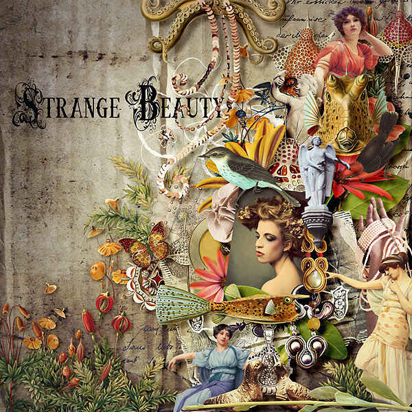 Strange Beauty