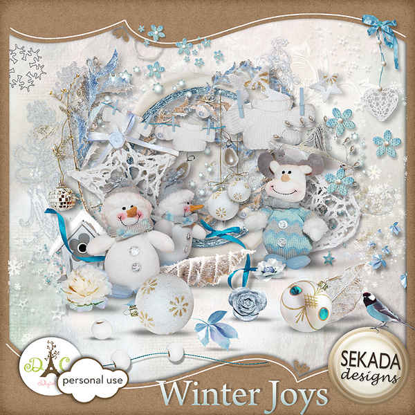 Winter Joys