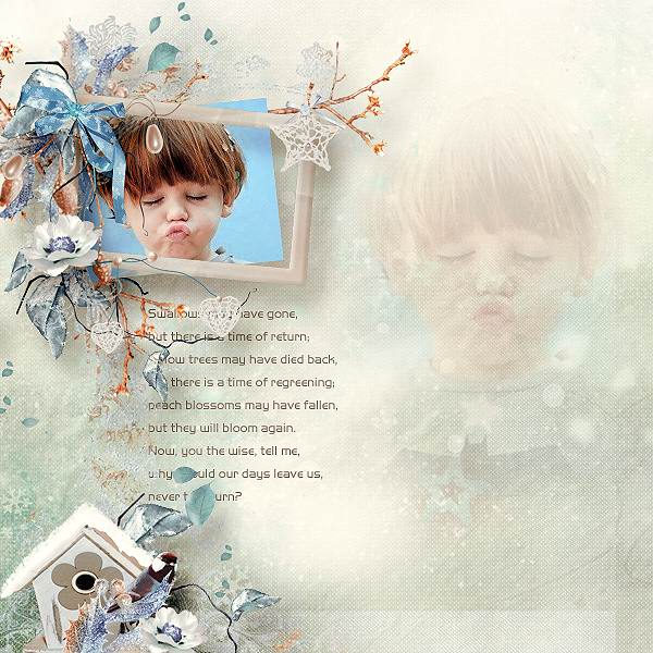Winter Joys