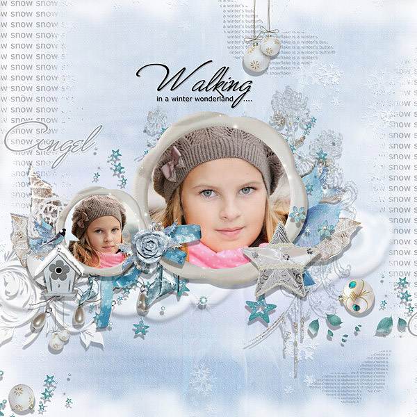 Winter Joys