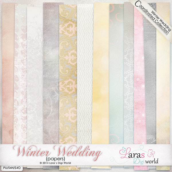 Winter Wedding 2