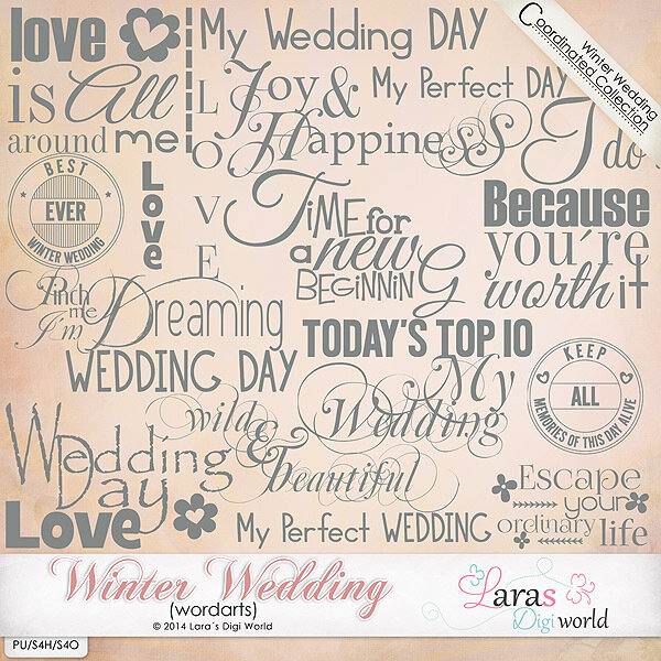 Winter Wedding 2